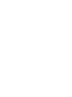 Boston Uyghur School Logo